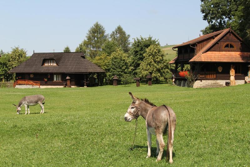 Dom gościnny w Bartniku Stroze  Zewnętrze zdjęcie